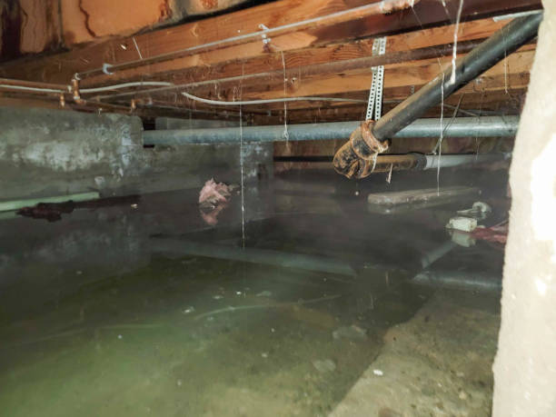 Water damage restoration experts in Parkway, CA