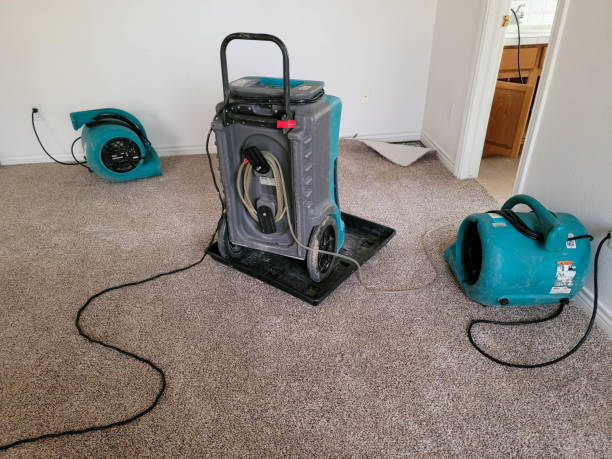 Best Professional water damage repair  in Parkway, CA