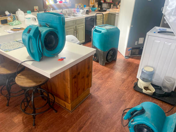 Best Water damage restoration near me  in Parkway, CA