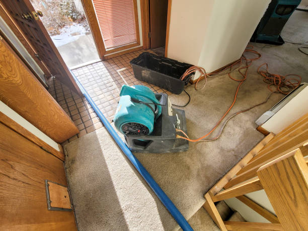 Best Professional water damage repair  in Parkway, CA