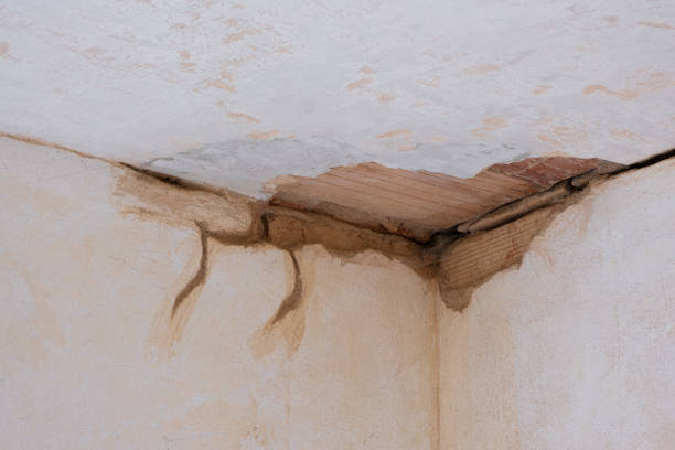 Water damage restoration experts in Parkway, CA
