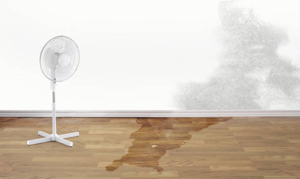 Best Basement water damage restoration  in Parkway, CA