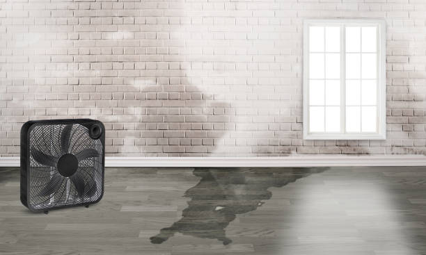 Best Water damage restoration near me  in Parkway, CA