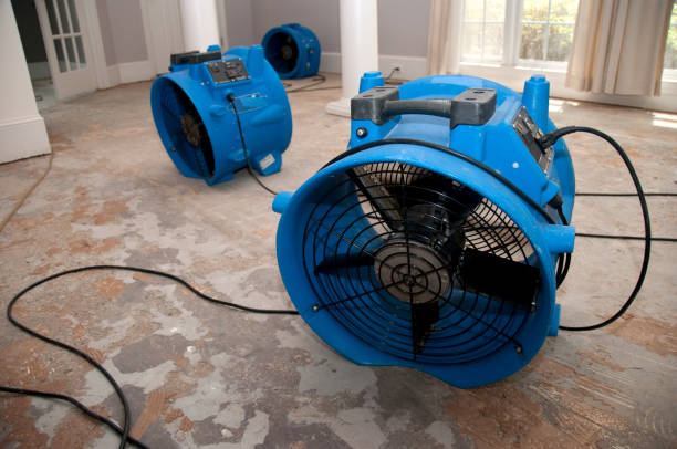 Best Water damage restoration near me  in Parkway, CA