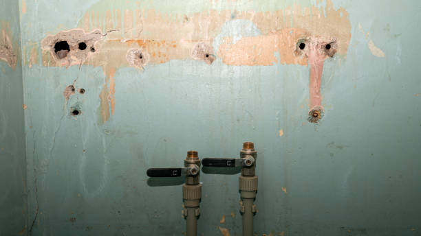 Best Sewage cleanup and water damage restoration  in Parkway, CA