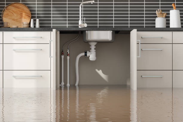 Best Flood damage cleanup  in Parkway, CA