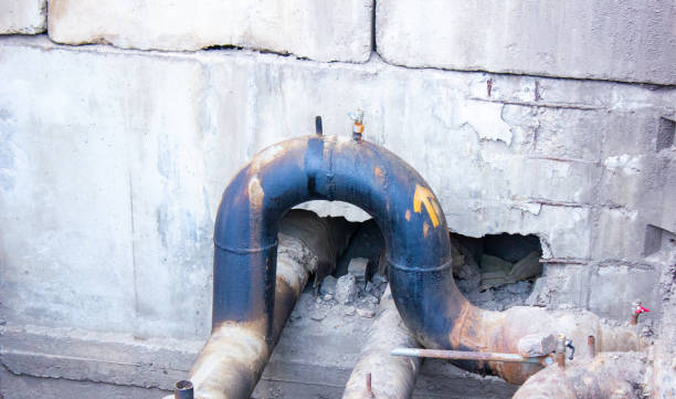 Best Water damage restoration near me  in Parkway, CA