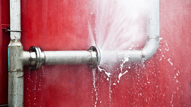 Best Ceiling water damage repair  in Parkway, CA